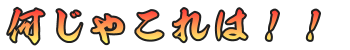 何じゃこれは！！